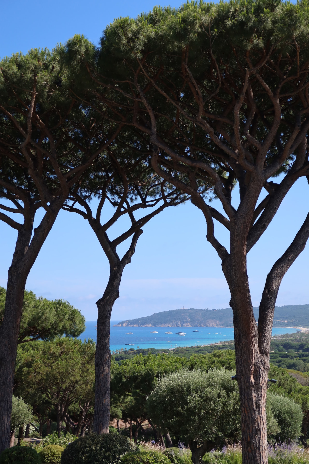 Saint-Tropez