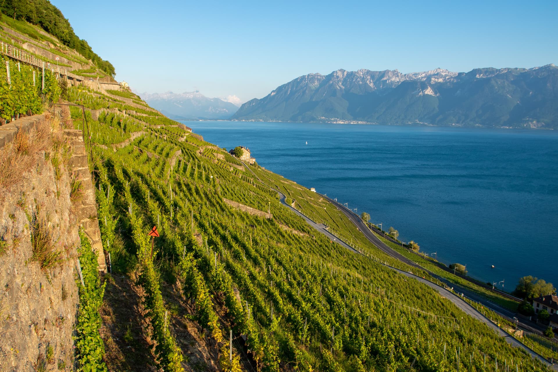 Lavaux